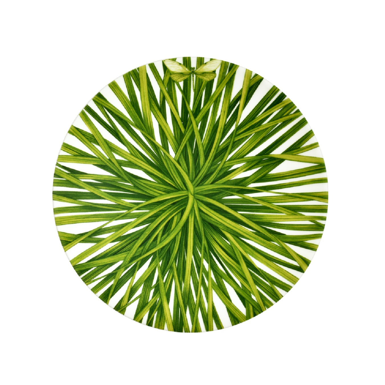 Taitù Life in Green Set mit 4 Obsttellern, 21,5 cm