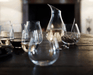 Riedel Decanter "O" Single - 2