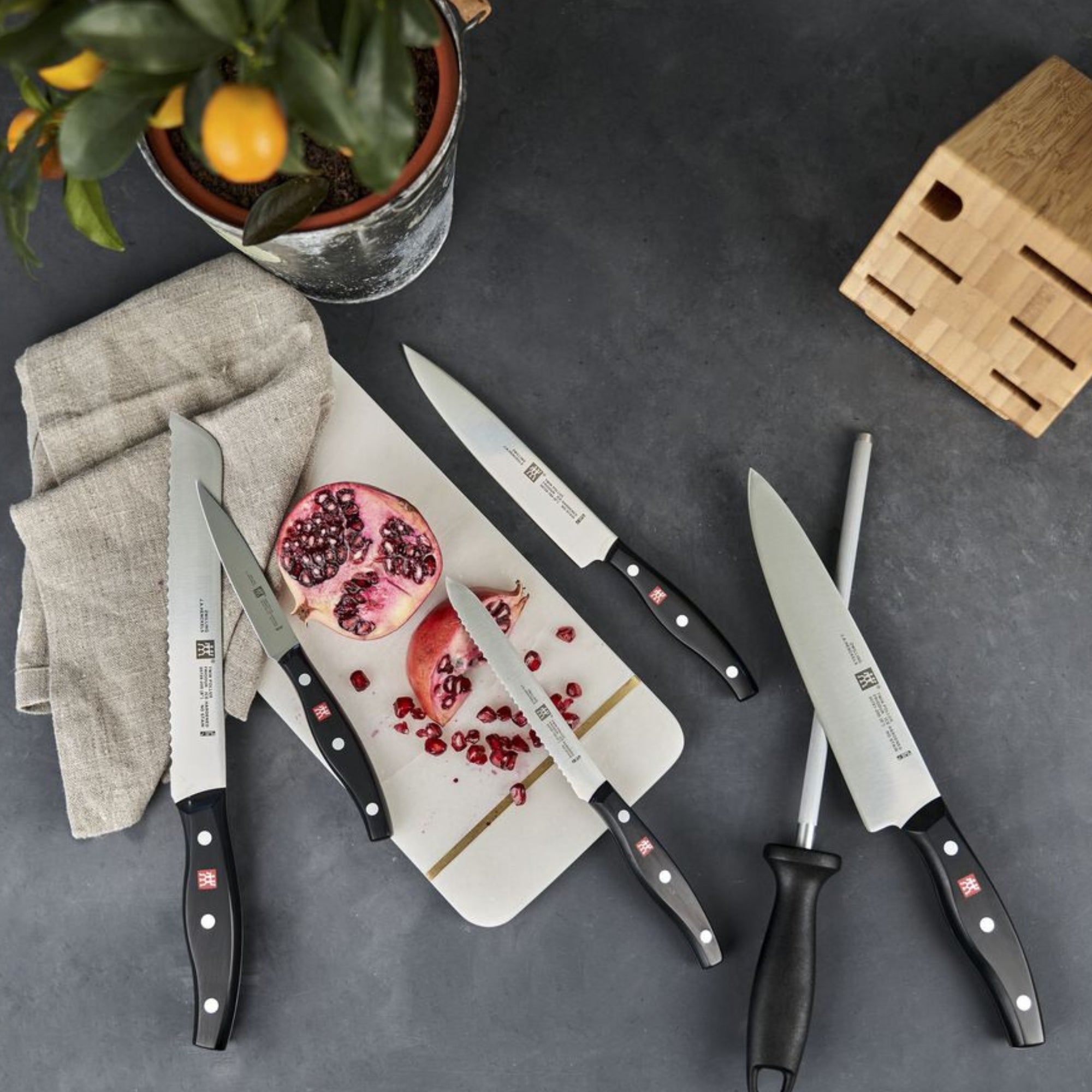 Zwilling TWIN POLLUX Set 6 coltelli bistecca