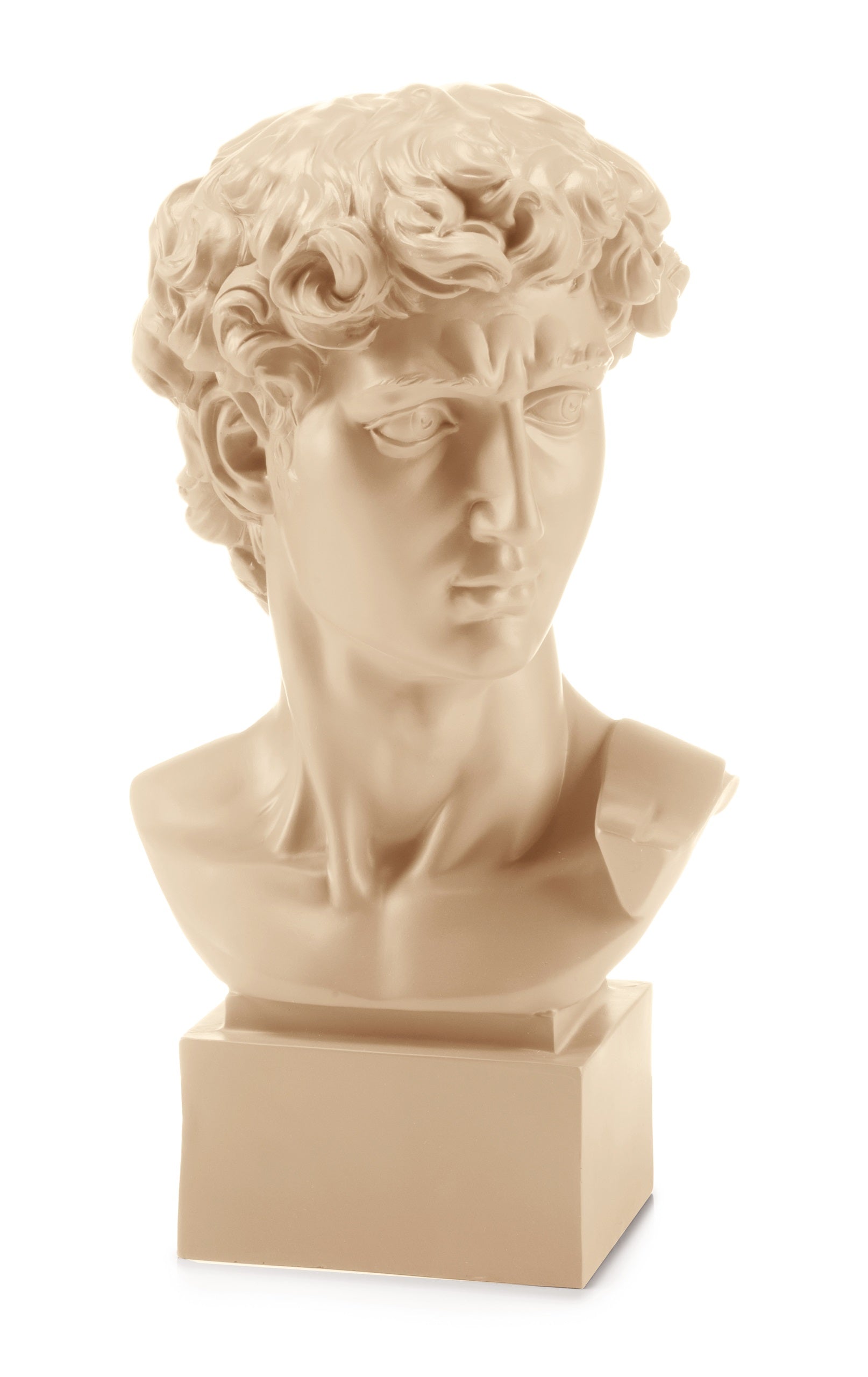 Palais Royal Dudes Bust David, 50 cm