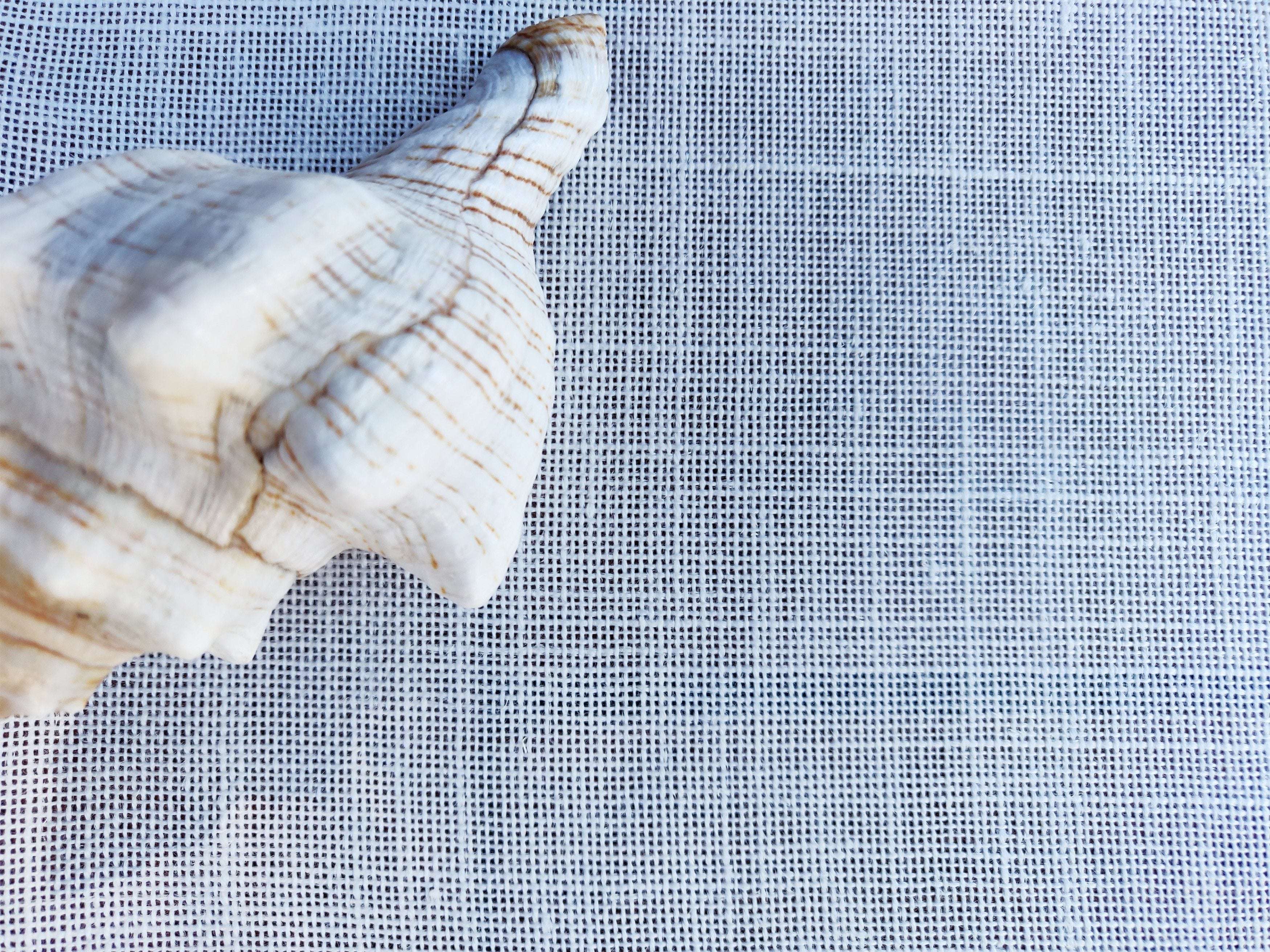 Domus&Trend Laura Set per la Colazione - 12