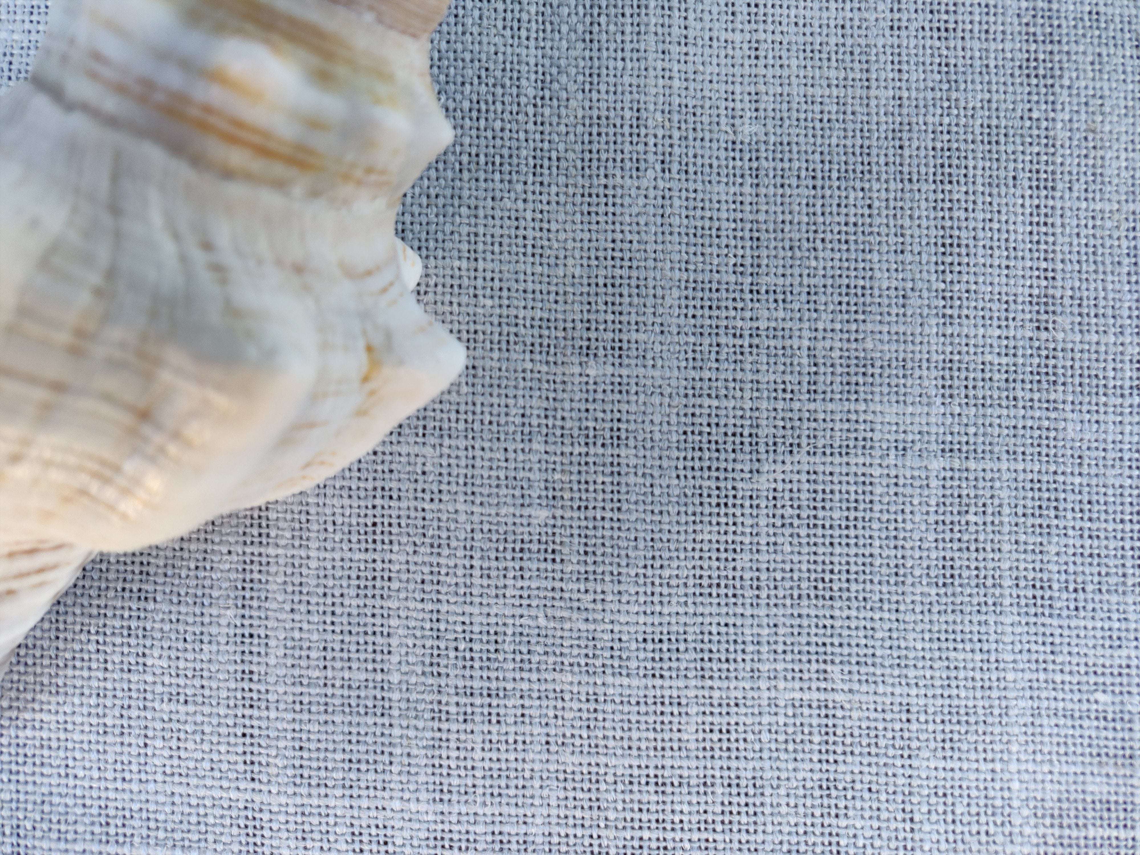 Domus&Trend Laura Set per la Colazione - 10