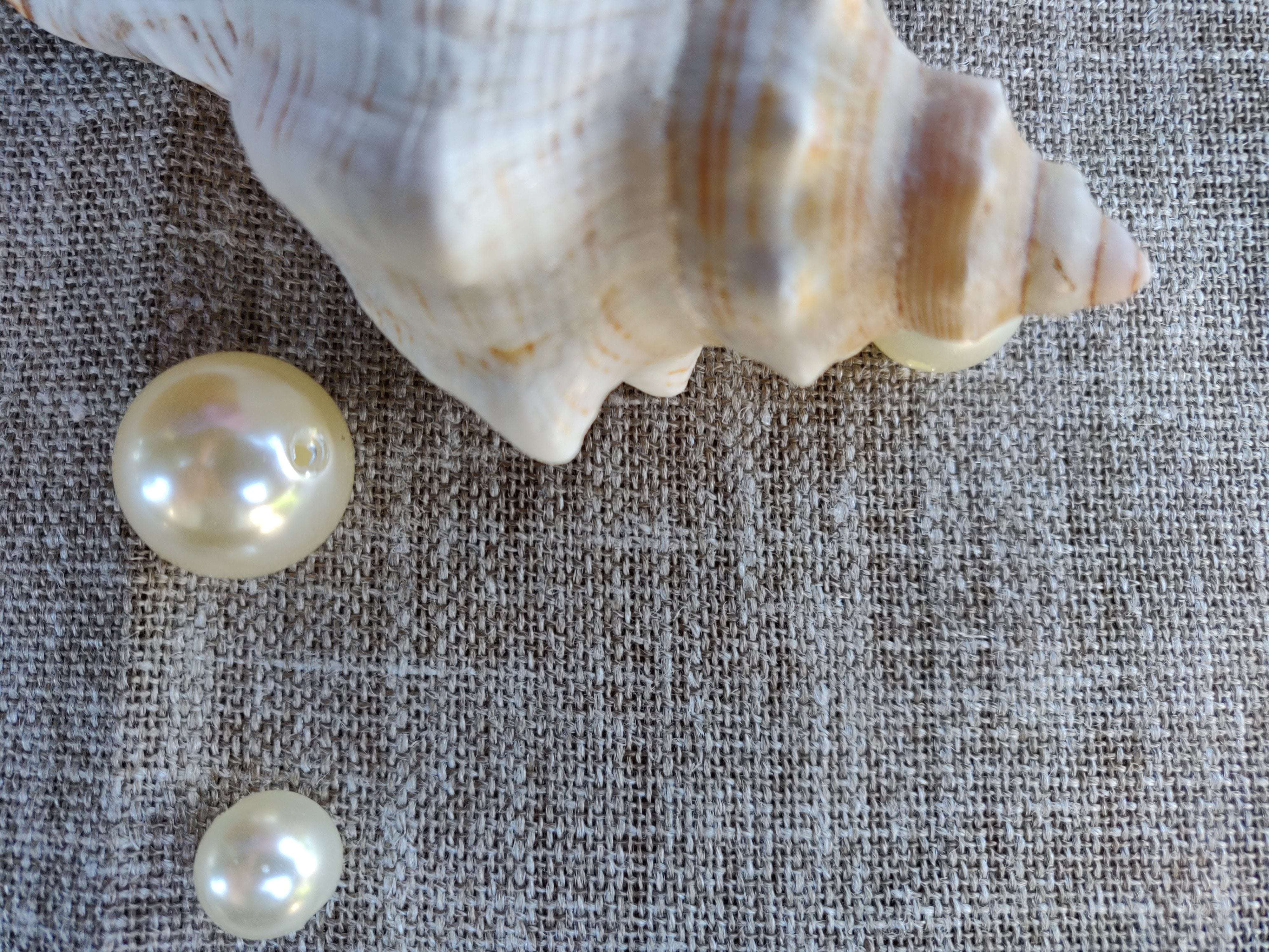 Domus&Trend Laura Set per la Colazione - 11