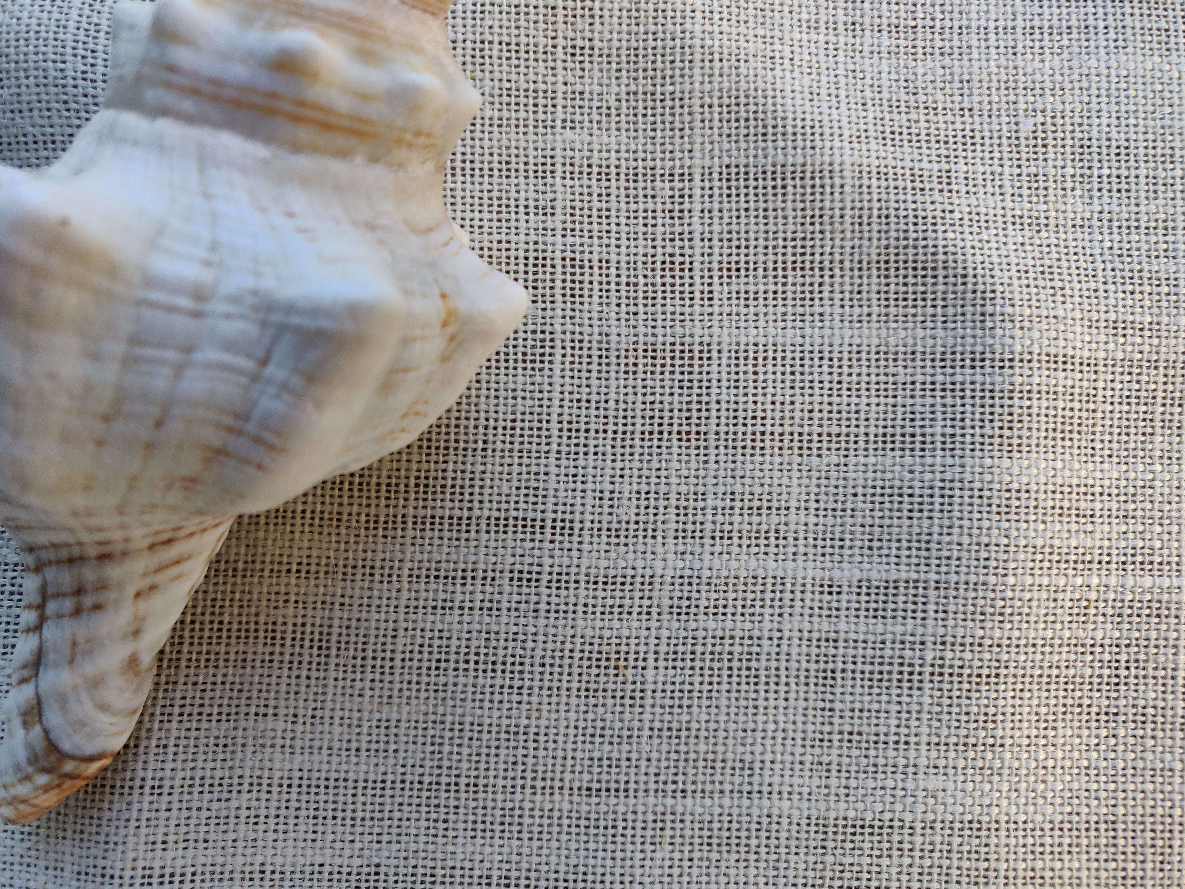 Domus&Trend Laura Set per la Colazione - 8