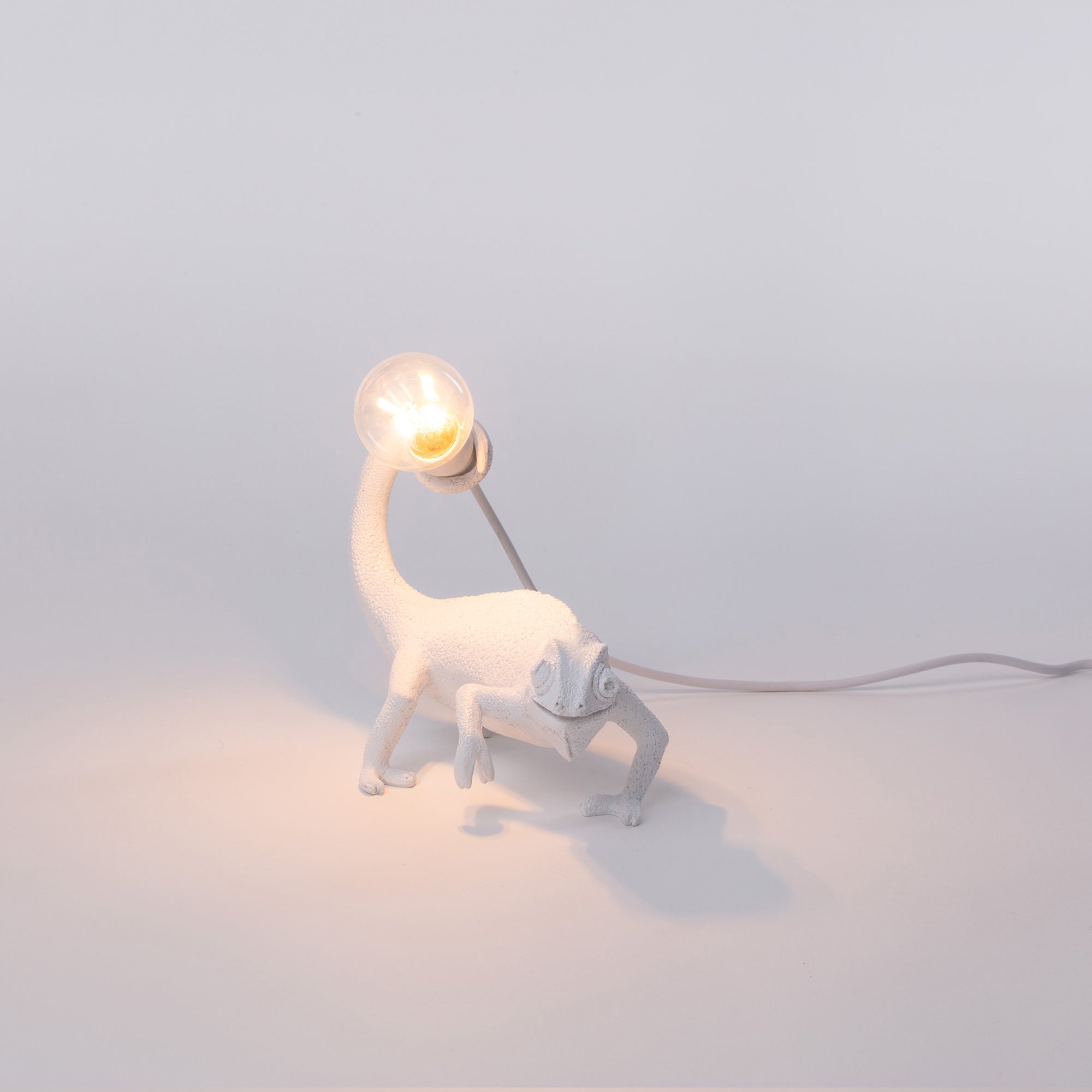 Seletti Chameleon Lamp in resina