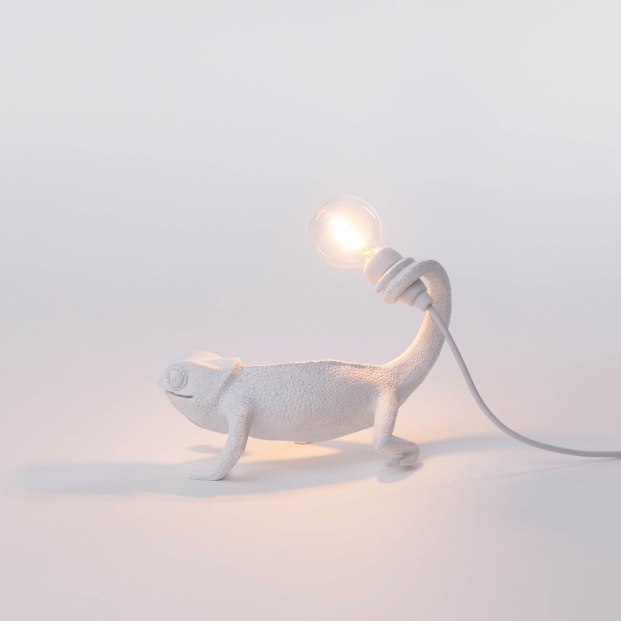 Seletti Chameleon Lamp in resin